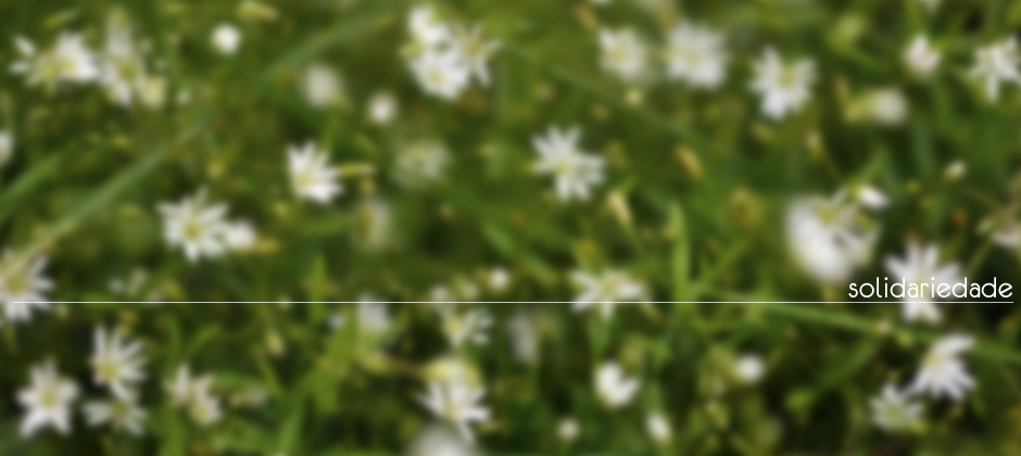 Imagem ilustrativa da notícia